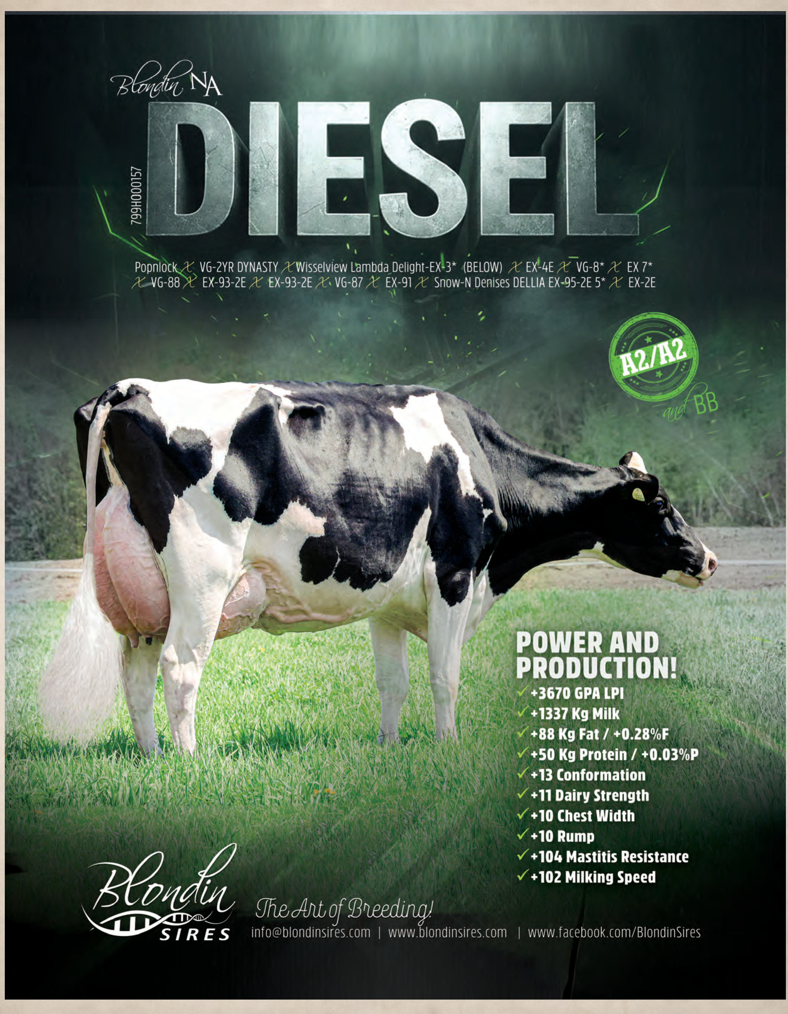 DIESEL — 799HO00157